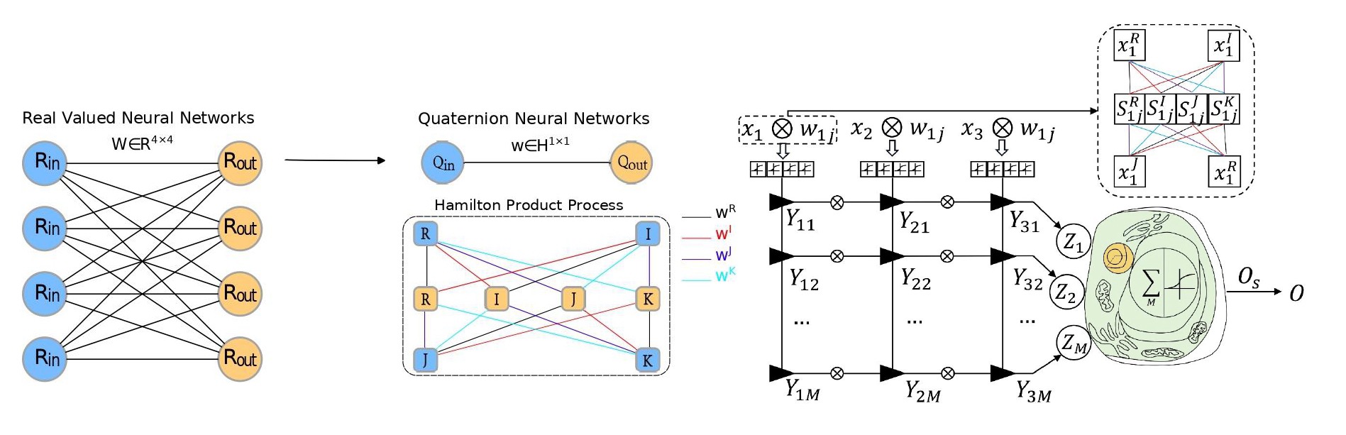 Framework Figure